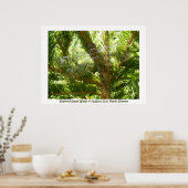 「ステンドグラスの翼」 ポスター (キッチン)