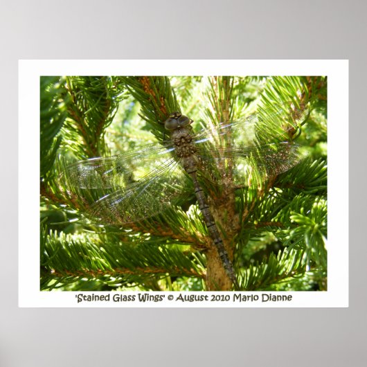 「ステンドグラスの翼」 ポスター (正面)