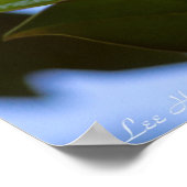 ステンドグラスカイ南マグノリアのポスタープリント ポスター (角)