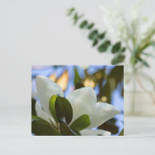 ステンドグラスカイ南マグノリアギフトアパレル ポストカード (スタンド正面)