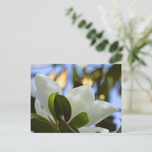 ステンドグラスカイ南マグノリアギフトアパレル ポストカード (スタンド正面)