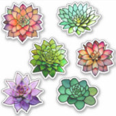 ステンドグラス多肉株 シール (正面)