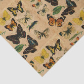 ステンドバタフライヴィンテージコレクションの分離 薄葉紙 (詳細)