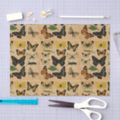 ステンドバタフライヴィンテージコレクションの分離 薄葉紙 (クラフト)