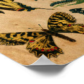 ステンド紙効果ヴィンテージバタフライコレクション ポスター (角)