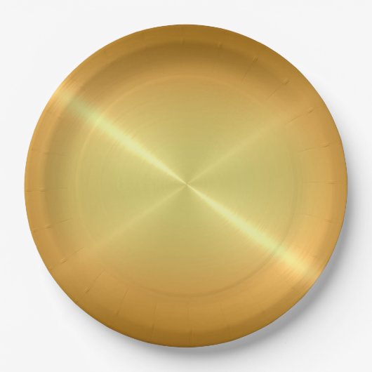 ステンレスカッコいい鋼メタル ペーパープレート (正面)