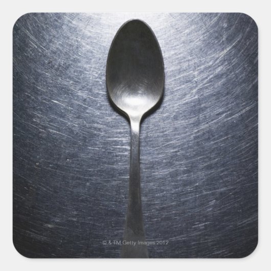 ステンレス鋼上の金属スプーン スクエアシール (正面)