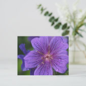 ステーシーのフローラデザイン ポストカード (スタンド正面)