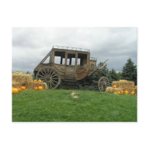 ステージのコーチ