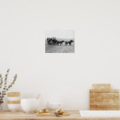 ステージコーチクロスカントリーレース写真 ポスター (キッチン)