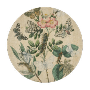 ステージズオブバタフライライフバイビジョンスタジオ カッティングボード