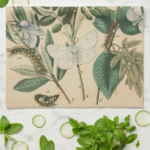 ステージズオブバタフライライフバイビジョンスタジオ キッチンタオル (折り畳み)