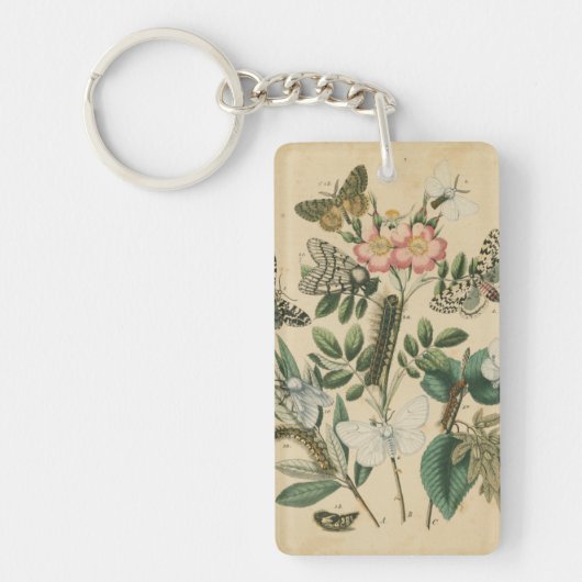 ステージズオブバタフライライフバイビジョンスタジオ キーホルダー (正面)