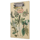 ステージズオブバタフライライフバイビジョンスタジオ クリップボード (左)