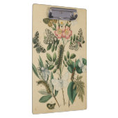 ステージズオブバタフライライフバイビジョンスタジオ クリップボード (右)