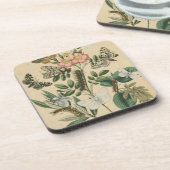 ステージズオブバタフライライフバイビジョンスタジオ コースター (左側)