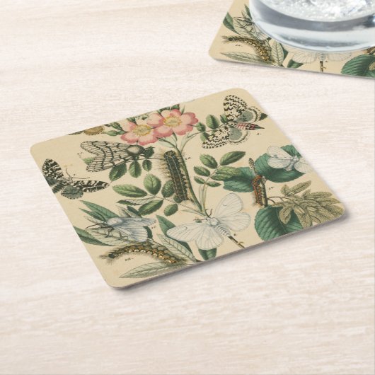 ステージズオブバタフライライフバイビジョンスタジオ スクエアペーパーコースター (アングル)