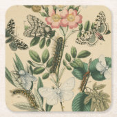 ステージズオブバタフライライフバイビジョンスタジオ スクエアペーパーコースター (正面)