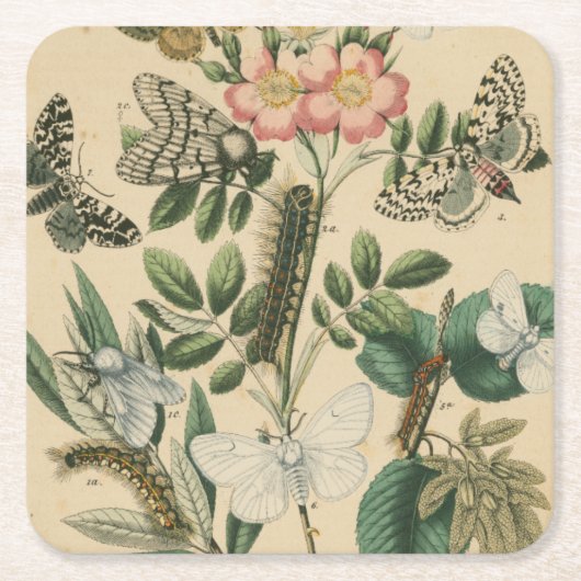 ステージズオブバタフライライフバイビジョンスタジオ スクエアペーパーコースター (正面)