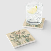 ステージズオブバタフライライフバイビジョンスタジオ ストーンコースター (横)