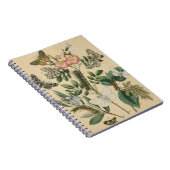 ステージズオブバタフライライフバイビジョンスタジオ ノートブック (右側)