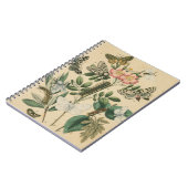 ステージズオブバタフライライフバイビジョンスタジオ ノートブック (左側)