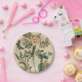 ステージズオブバタフライライフバイビジョンスタジオ ペーパープレート (パーティー)