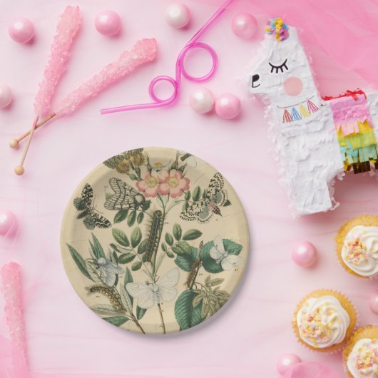 ステージズオブバタフライライフバイビジョンスタジオ ペーパープレート (パーティー)