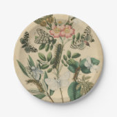 ステージズオブバタフライライフバイビジョンスタジオ ペーパープレート (正面)