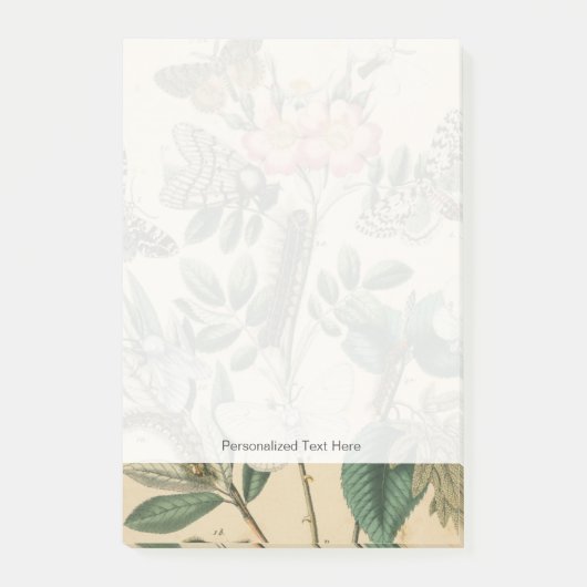 ステージズオブバタフライライフバイビジョンスタジオ ポストイット (正面)