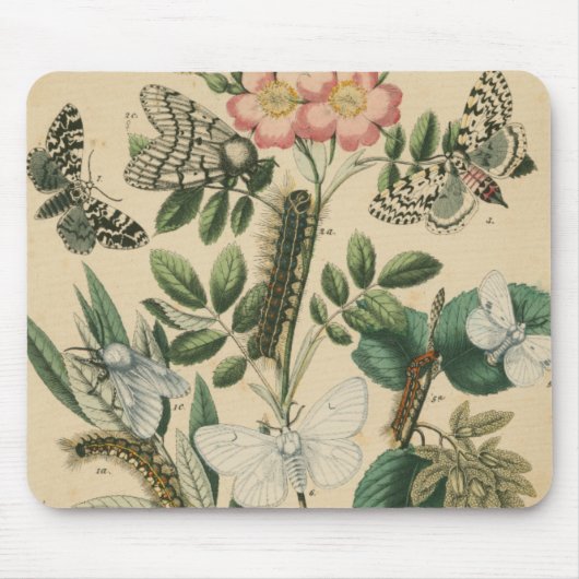 ステージズオブバタフライライフバイビジョンスタジオ マウスパッド (正面)