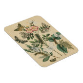 ステージズオブバタフライライフバイビジョンスタジオ マグネット (右側)