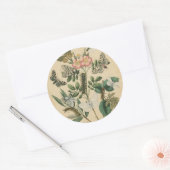 ステージズオブバタフライライフバイビジョンスタジオ ラウンドシール (封筒)