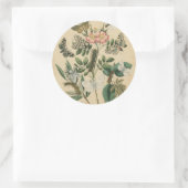 ステージズオブバタフライライフバイビジョンスタジオ ラウンドシール (バッグ)