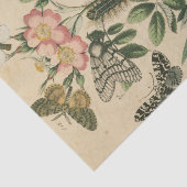 ステージズオブバタフライライフバイビジョンスタジオ 薄葉紙 (詳細)