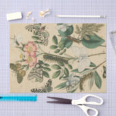 ステージズオブバタフライライフバイビジョンスタジオ 薄葉紙 (クラフト)