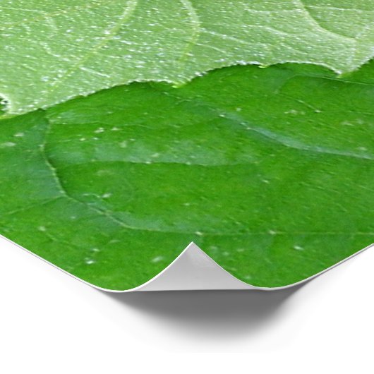 ステージ ポスター (角)