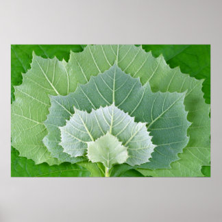 ステージ ポスター