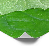 ステージ ポスター (角)