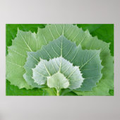 ステージ ポスター (正面)