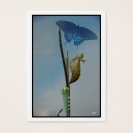 ステージ～ Butterfly ACEO Artist Trading Cards Busine