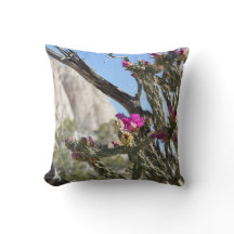 ステータスシリーズ