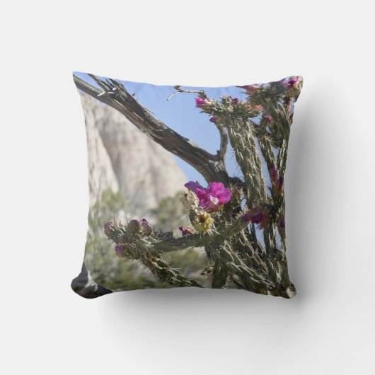 ステータスシリーズ クッション (正面)