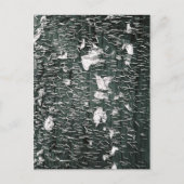 ステープル ポストカード (正面)