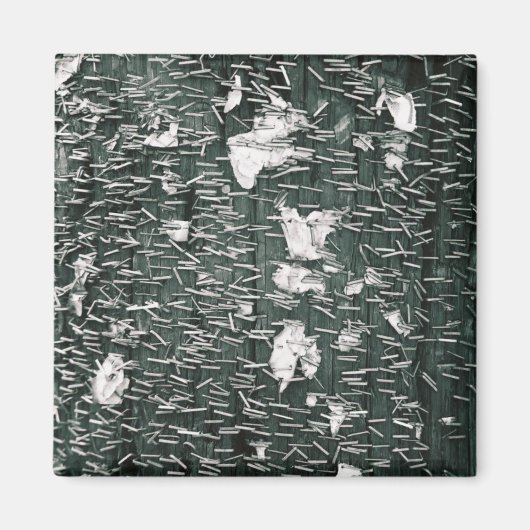 ステープル マグネット (正面)