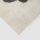 ステームパビクトリアンンクパンプキンウィッチAL5デコページ 薄葉紙 (詳細)