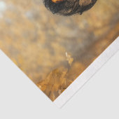 ステームパビクトリアンンクパンプキンレディースAL4デコページ 薄葉紙 (詳細)