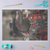 ステームパンク王室のレッドブラックアリゲーターデカッゲ 薄葉紙 (クラフト)