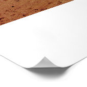 ストゥーパスアットシャンバラランド ポスター (角)