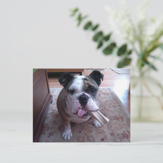 ストギー ポストカード (スタンド正面)